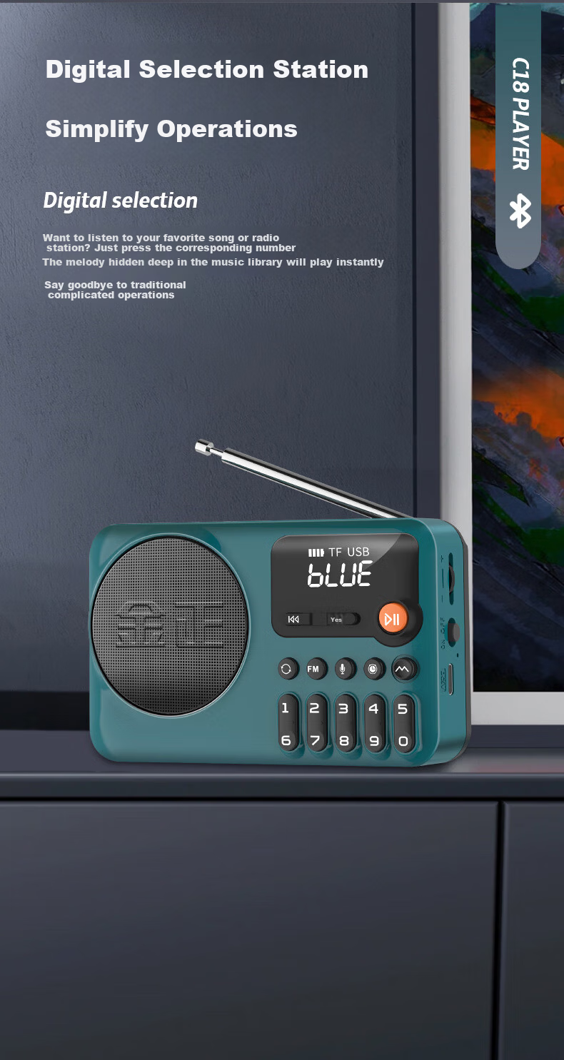 NINTAUS C38 Pure Radio, New Multi-Band Radio for Elderly, Mini Portable Small Full-Band Semiconductor Rechargeable Player, FM Tuner, Personal Radio for News 9