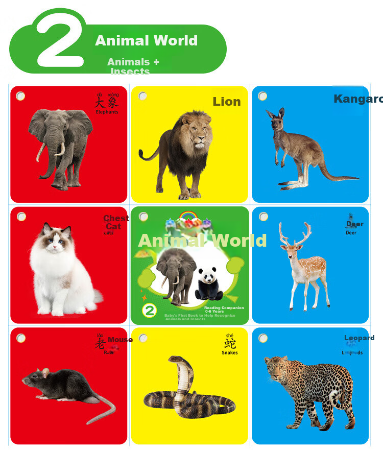Danmiqi Early Education Cognitive Cards for Toddlers 0-6 Years Old Baby Picture Word Recognition Fruit and Number Task Cards Toy 8