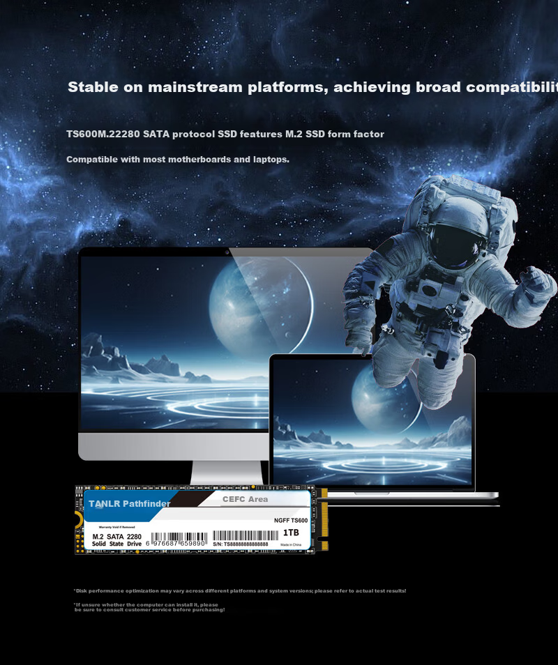 TANLR 1TB SSD Solid State Drive M.2 SATA 2280 NGFF Desktop Laptop Compatible High-Speed 560MB/s Reading Rayling TS600 3