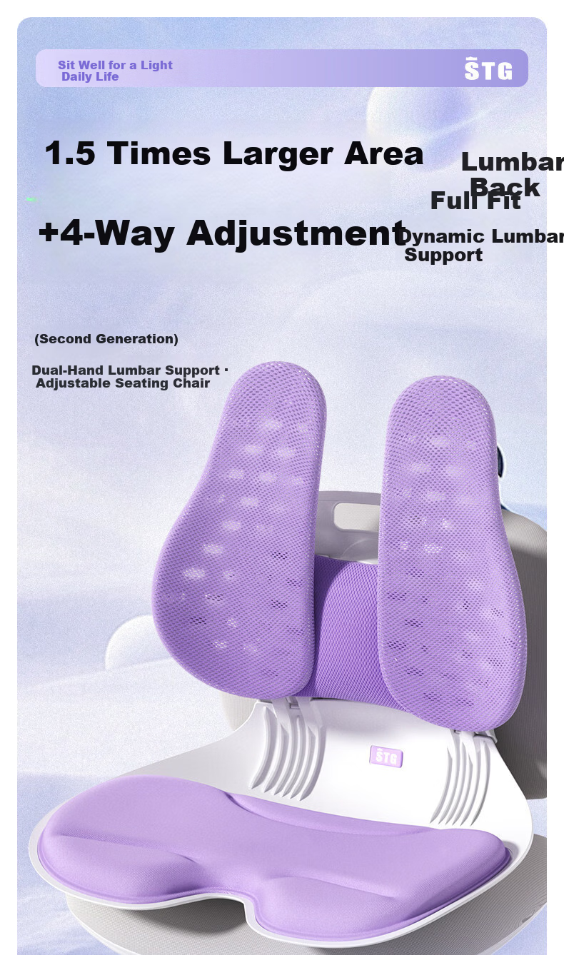 SITGOOD Lumbar Support Seat Back Cushion Waist Pillow Posture Chair Lumbar Cushion STG Seat Cushion Pillow Gift Office Lumbar Support Cushion 1