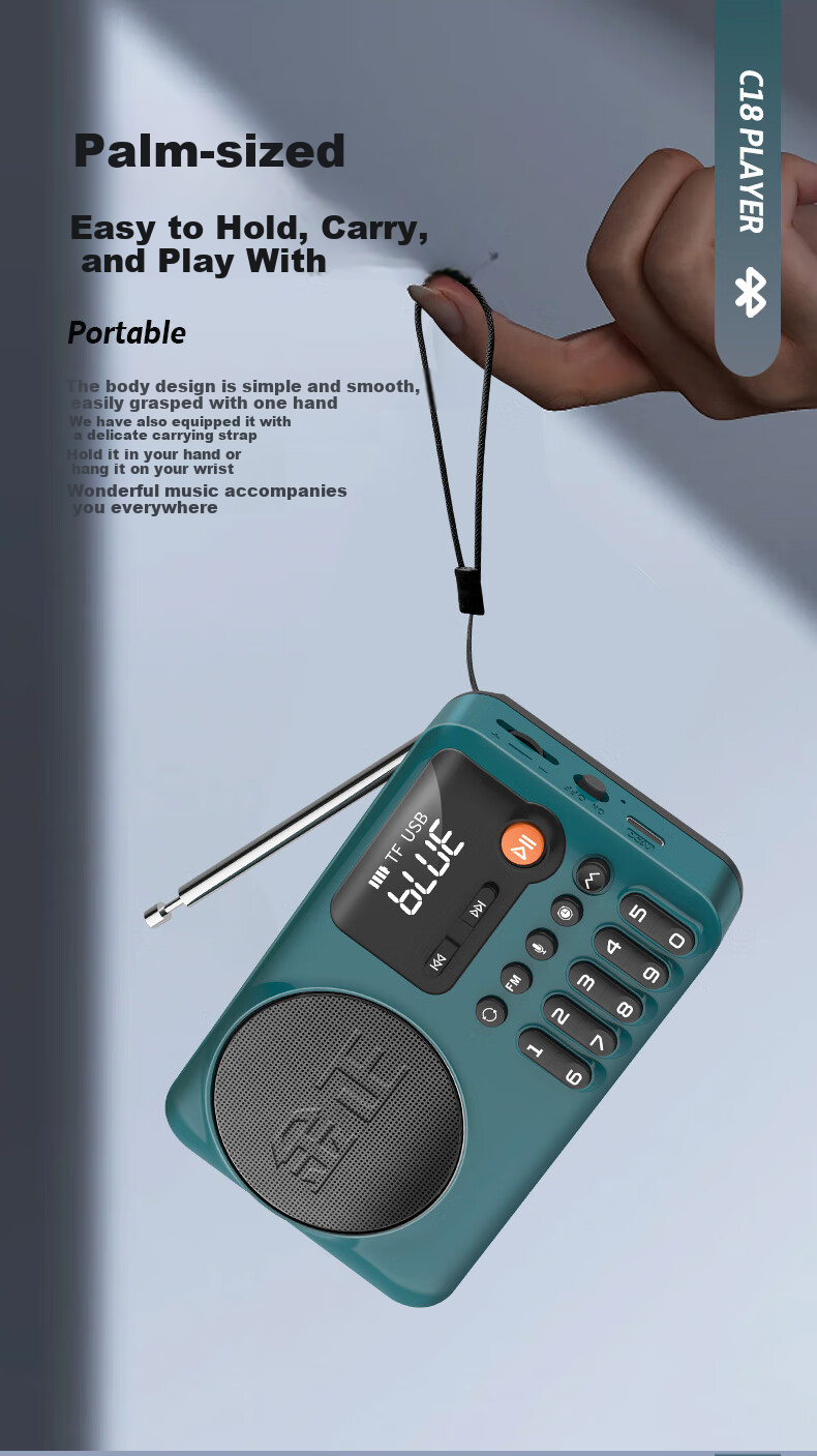 NINTAUS C38 Pure Radio, New Multi-Band Radio for Elderly, Mini Portable Small Full-Band Semiconductor Rechargeable Player, FM Tuner, Personal Radio for News 12