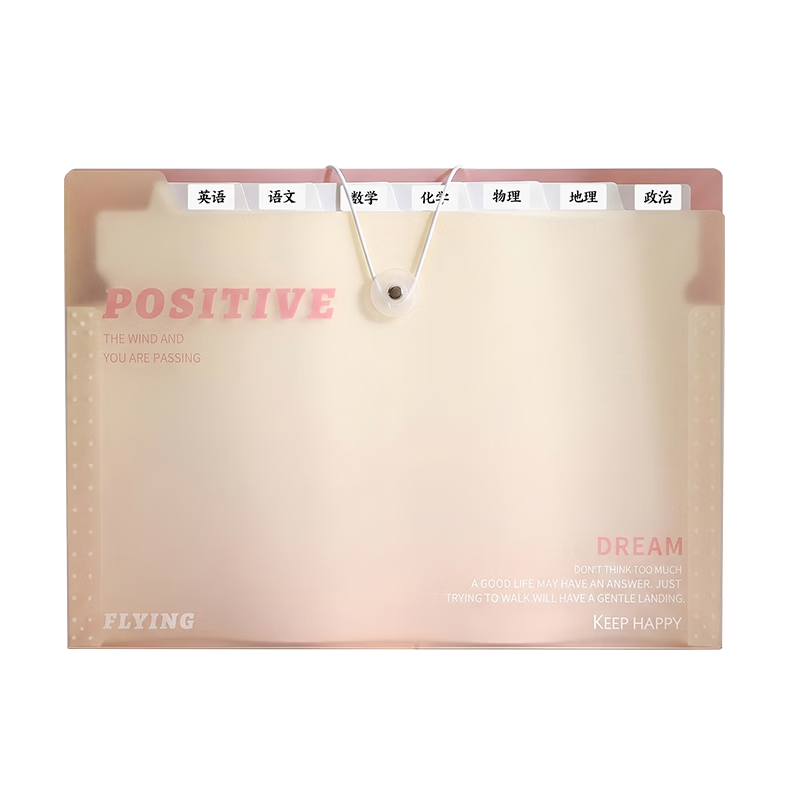 Wengu File Folder Accordion Multi-Layer A4 Student Stationery Office Meeting Exam Paper Storage Bag for Primary And Middle School, Portable Subject Classification G0249-8 Pink