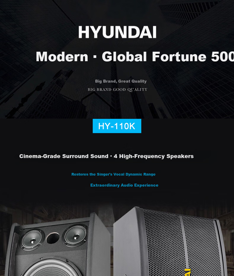HYUNDAI Professional 10-Inch Card Holder Home Theater KTV Speaker Home Combo Professional Entertainment Karaoke Meeting Stage Equipment Vertical Speaker 1