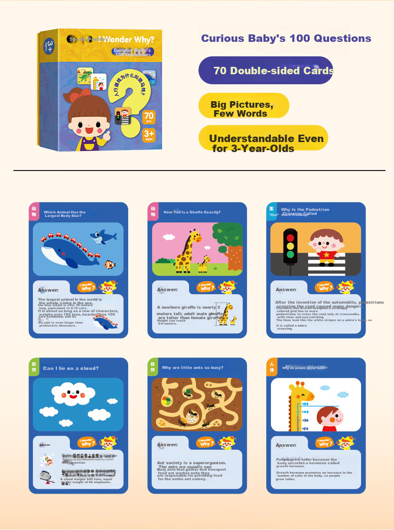 Shalin Saalin Early Childhood English Enlightenment TPR Action Instruction Cards, Interactive Flashcards for English Vocabulary, Early Education for Childre 16