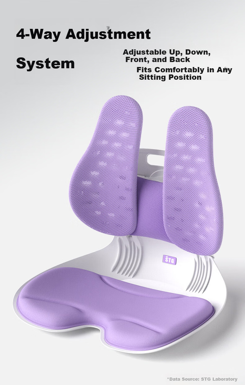 SITGOOD Lumbar Support Seat Back Cushion Waist Pillow Posture Chair Lumbar Cushion STG Seat Cushion Pillow Gift Office Lumbar Support Cushion 10