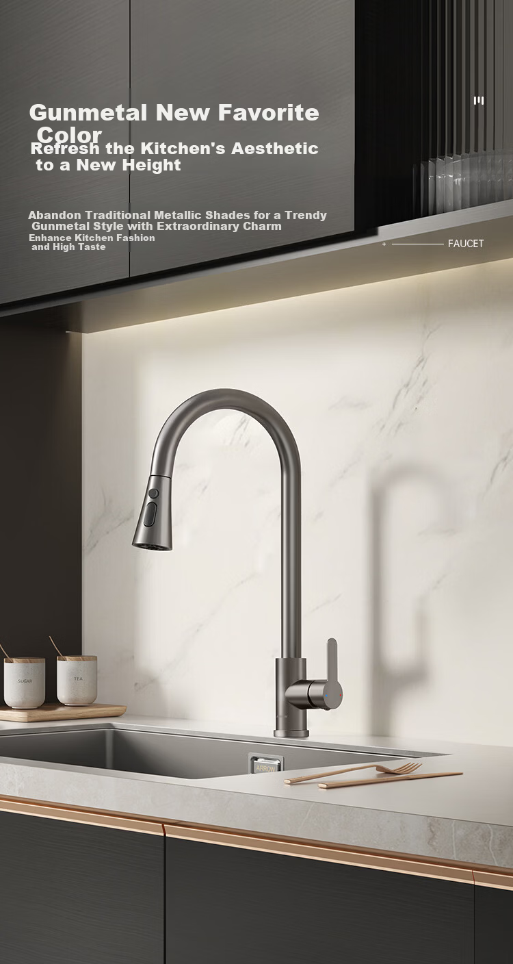 ARROW Kitchen Faucet Gunmetal Gray Dual Control Pull-Out Stainless Steel Sink Faucet 3