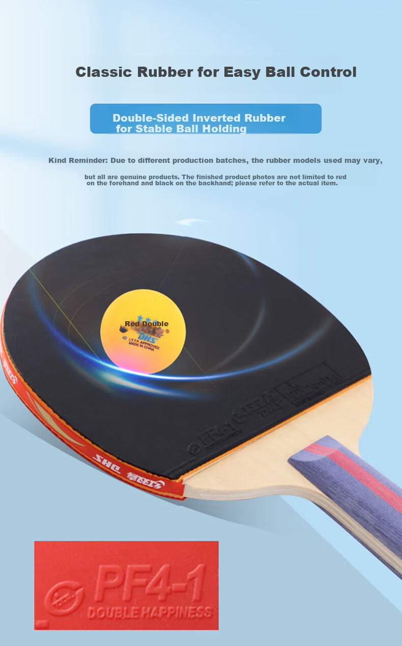 DHS H2006 2-Star Table Tennis Paddle Straight Handle Advanced Inverted Rubber Racket with Case 2