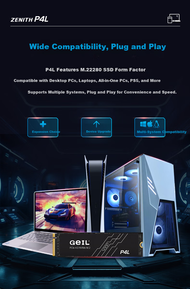 GEIL Jinbang 512GB SSD Solid State Drive M.2 PCIe 4.0 x4 NVMe High-Performance Gaming Edition 7000MB/s P4S Series 7