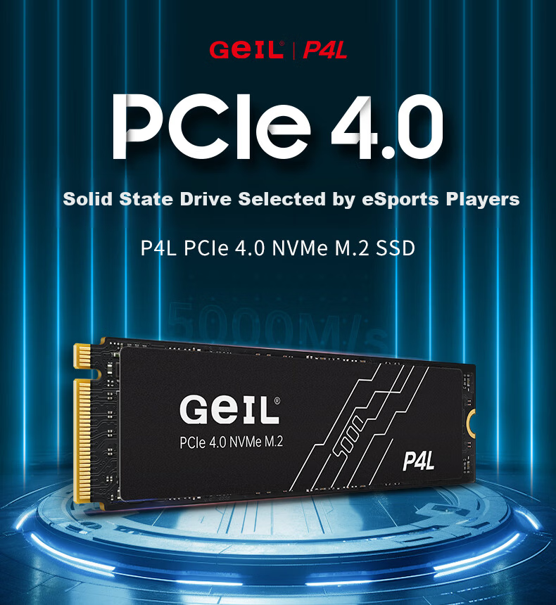 GEIL Jinbang 512GB SSD Solid State Drive M.2 PCIe 4.0 x4 NVMe High-Performance Gaming Edition 7000MB/s P4S Series 1