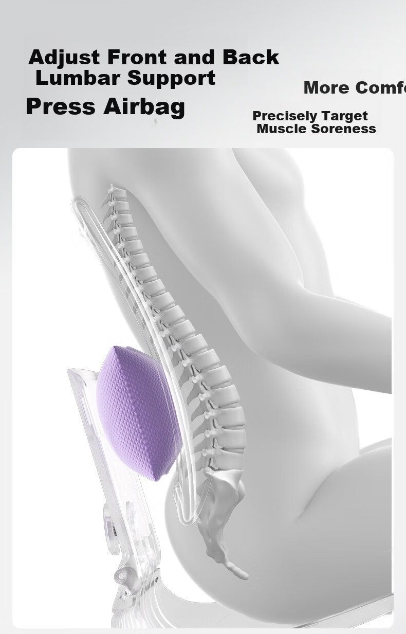 SITGOOD Lumbar Support Seat Back Cushion Waist Pillow Posture Chair Lumbar Cushion STG Seat Cushion Pillow Gift Office Lumbar Support Cushion 12