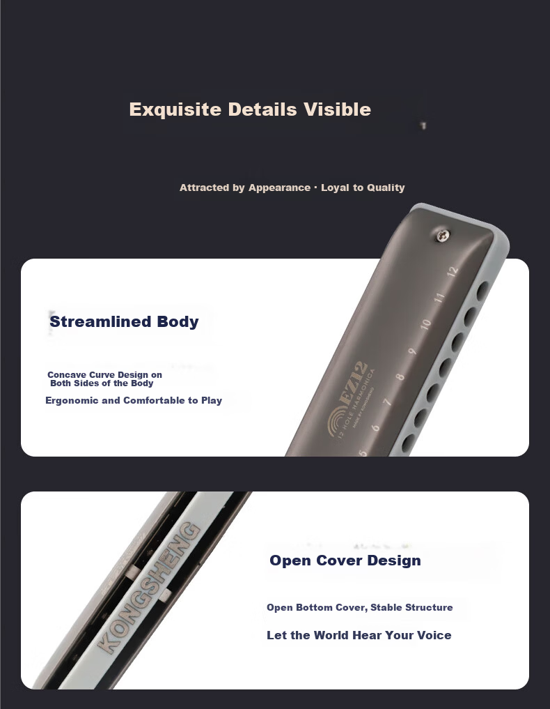 KONGSHENG 12-Hole C Key Full Scale Blues Harmonica Beginner Entry-Level Children Adult Professional EZ-12 Silver 13