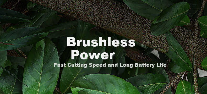 Dongcheng Cordless Brushless High-Power Pruning Shears DYD20V-35A 20V 2.0Ah Dual Battery Fruit Tree Clippers 3