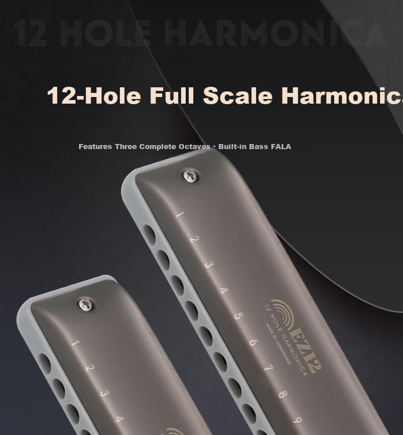 KONGSHENG 12-Hole C Key Full Scale Blues Harmonica Beginner Entry-Level Children Adult Professional EZ-12 Silver 2