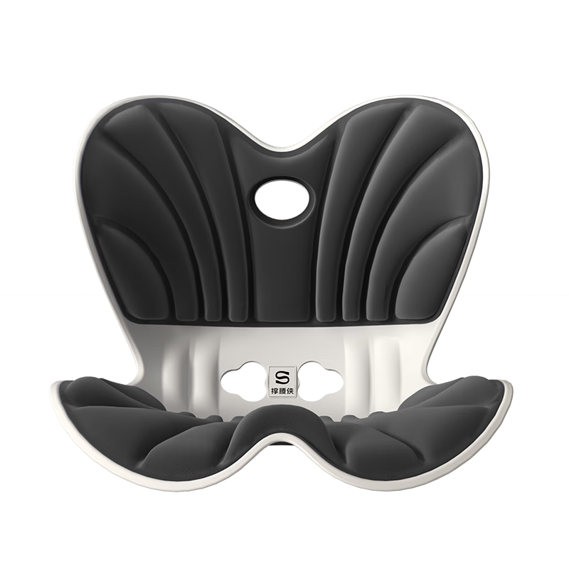 Beilizheng Lumbar Support Cushion, Back Pillow for Long Sitting, Ergonomic Office Chair, Integrated Back Support