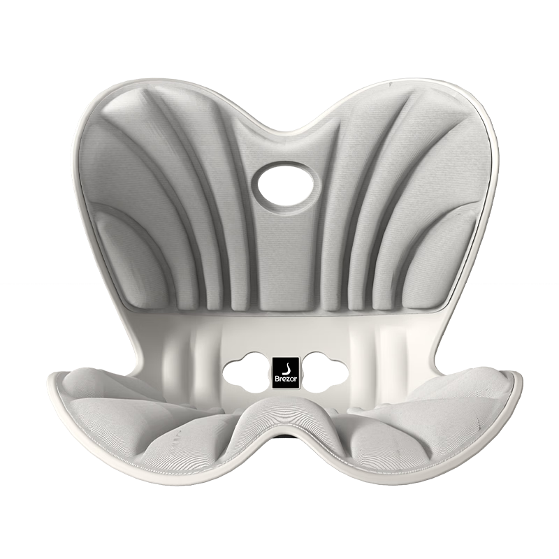 Beilizheng Lumbar Support Seat Cushion Ergonomic Office Chair Backrest for Prolonged Sitting