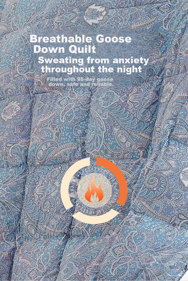 BEYOND Home Textile down Comforter, Antibacterial, Washable, 95% White Goose Down, Duvet Insert, Air Conditioning Quilt, 220g Filling, 200*230cm 2