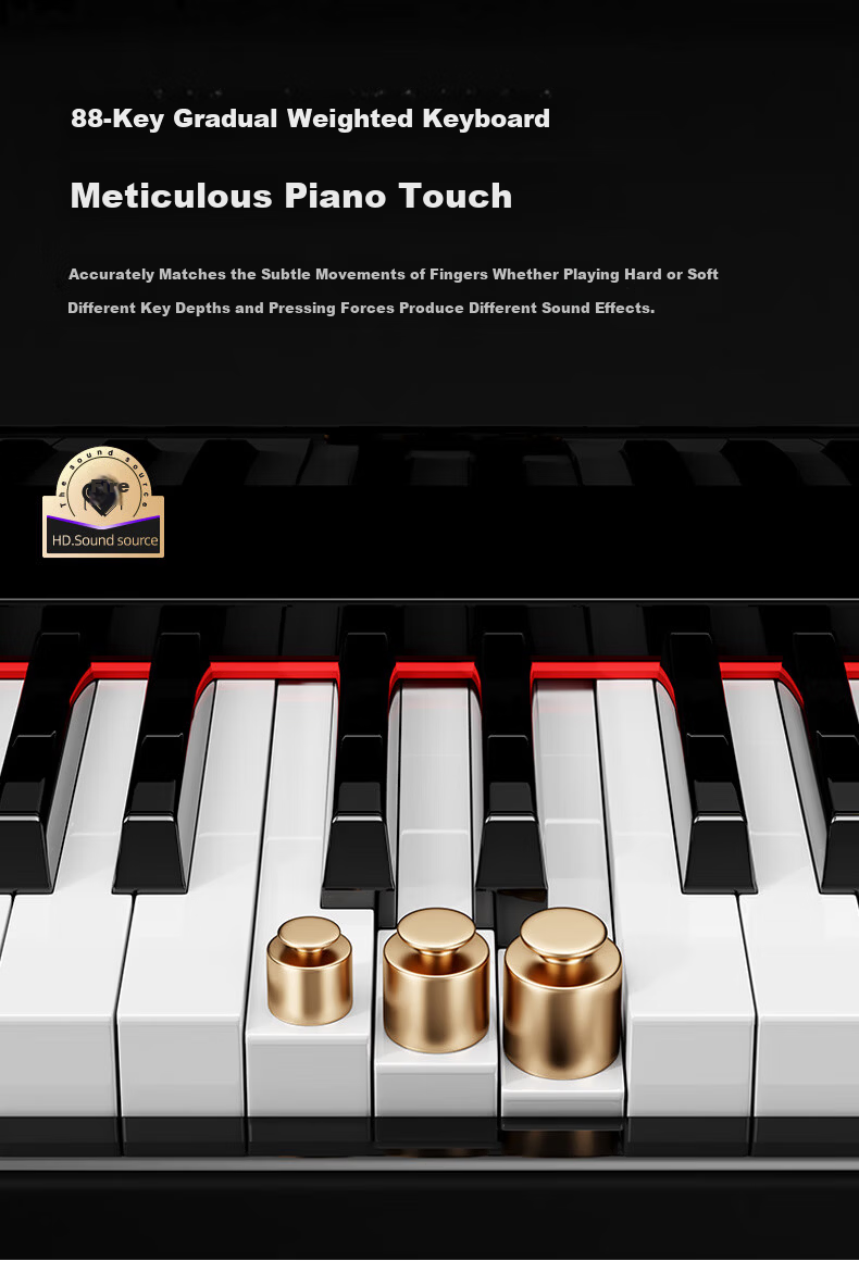 Betsy B885 Black Digital Piano with 88 Weighted Keys, Beginner Home Practice, Professional Grading Electronic Piano with Wooden Stand 12