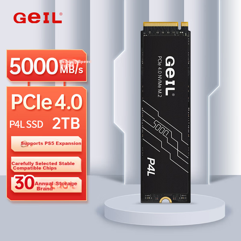 GEIL 2TB SSD Solid State Drive M.2 PCIe 4.0 x4 NVMe High-Performance Gaming Edition 5000MB/s P4L Series