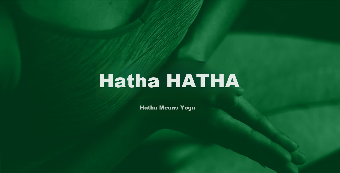 Hatha Yoga Stretch Strap Resistance Band Fitness Strength Training Aid Aerial Yoga Equipment Yoga Stretching Strap 1