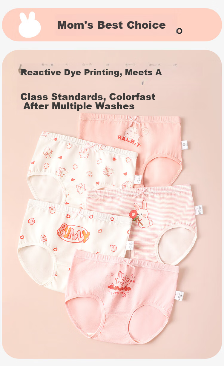 Dingguagua 5-Pack Girls' Cotton Antibacterial Breathable Briefs for Children Age 10A 3