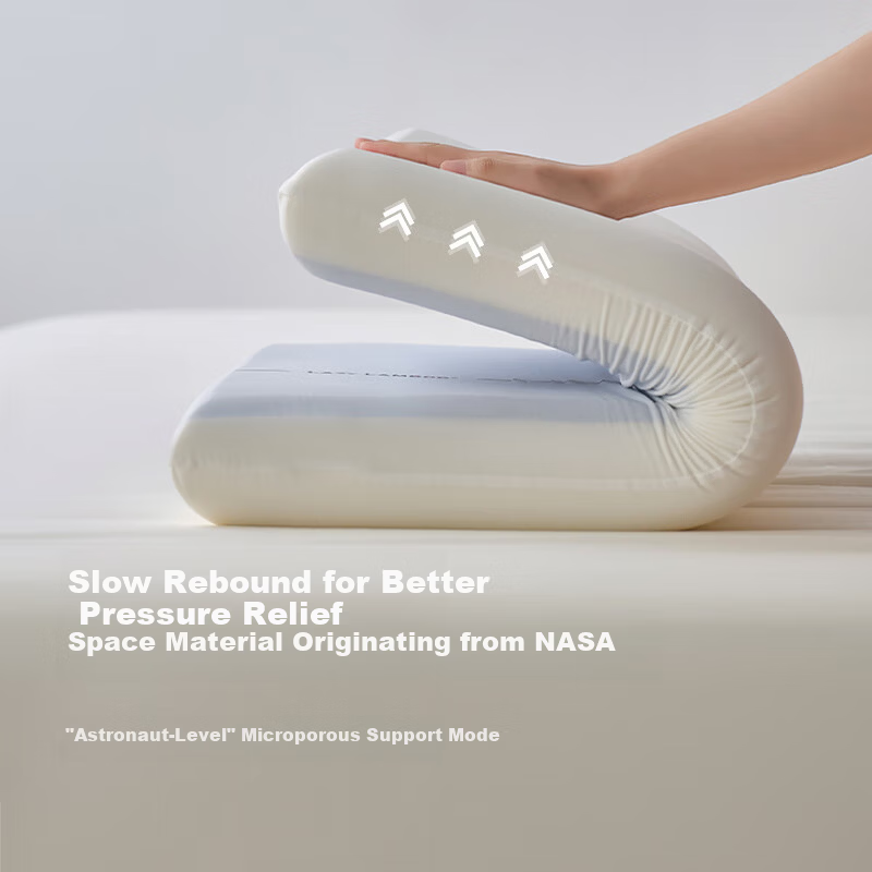 LIIESEN 2nd Generation Slow Rebound Deep Sleep Memory Pillow PRO Neck Support Cervical Memory Foam Pillow Adult Gift Box Set