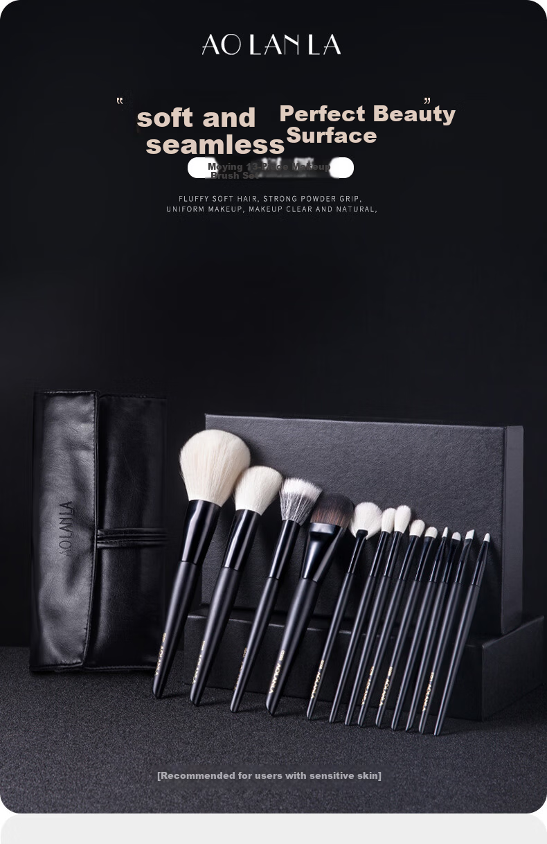AOLANLA Ink Shadow Makeup Brush Set 13-Piece Foundation Eyeshadow Blush Brushes Portable Beauty Tools Holiday Gift 1