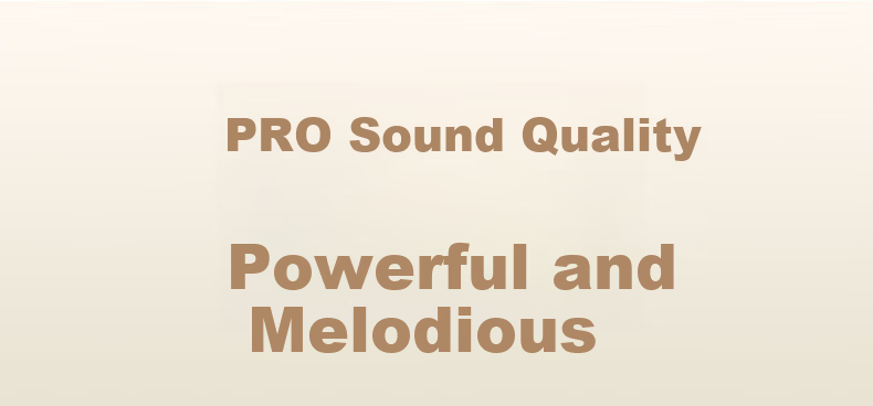 PVF 2026 New Berlin Sound Bone Conduction Bluetooth Earclip Wireless Open-Ear Sports Running Headphones Long Battery Life Non-In-Ear 12