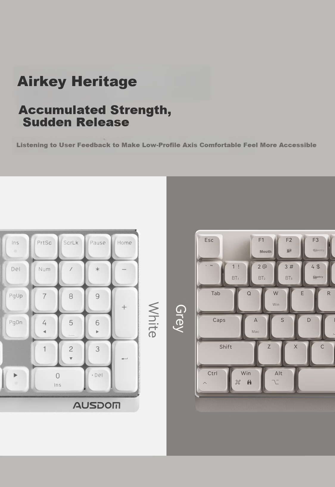 AUSDOM Airkey98 V3 Low-Profile Mechanical Keyboard Wireless Bluetooth Tri-Mode Silent 101-Key Slim Office Keyboard Compatible with Mac/Win Xiaoshun - White [Linear Clear Switch] 3