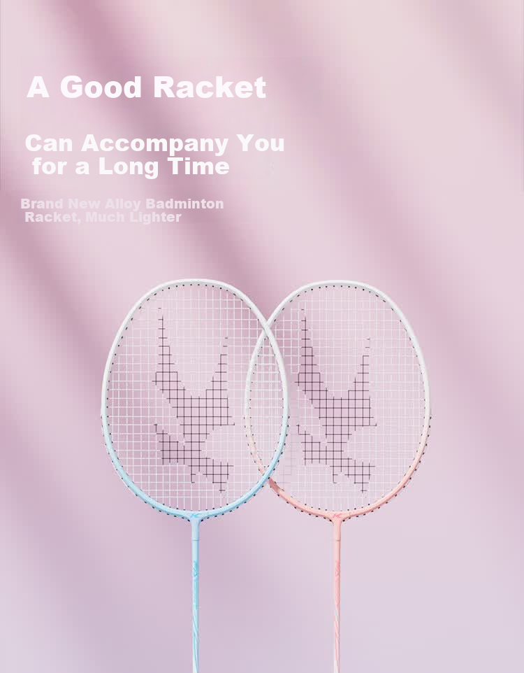 KASON Li-Ning Badminton Racket Set, Ultra-Light And Stylish, Professional Durable Training Rackets for Male And Female Beginners 9