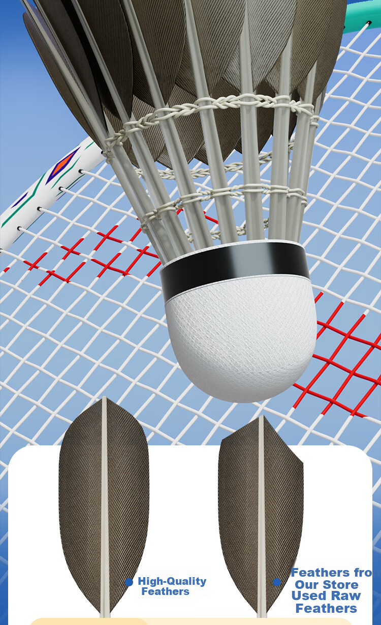 KASON Li-Ning Kason KGB03 Authentic Professional Training Badminton Durable Outdoor Windproof Black Goose Feather Shuttlecock 5