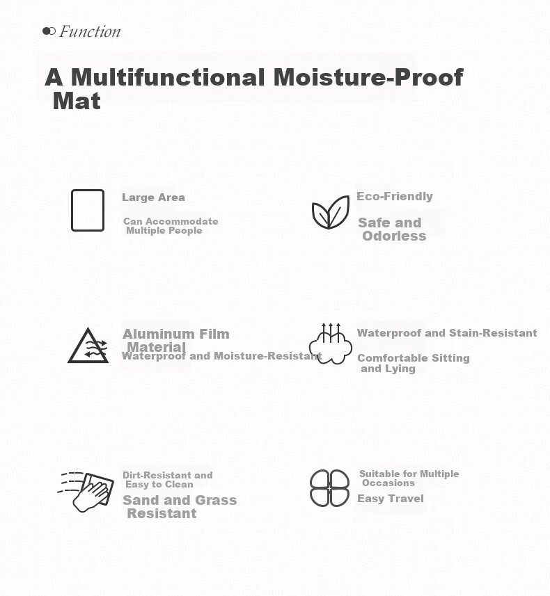 CAMEL Outdoor Camping Moisture-Proof Mat Portable Picnic Blanket Ground Mat Seat Cushion Festival Beach Mat Thickened Silver Ground Sheet 2