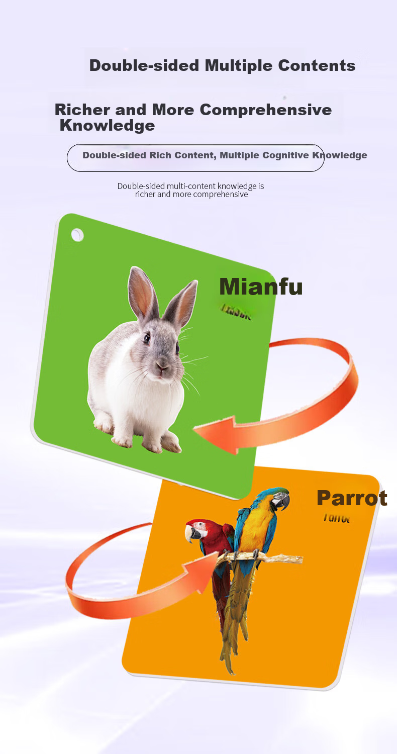 Danmiqi Early Education Cognitive Cards for Toddlers 0-6 Years Old Baby Picture Word Recognition Fruit and Number Task Cards Toy 4