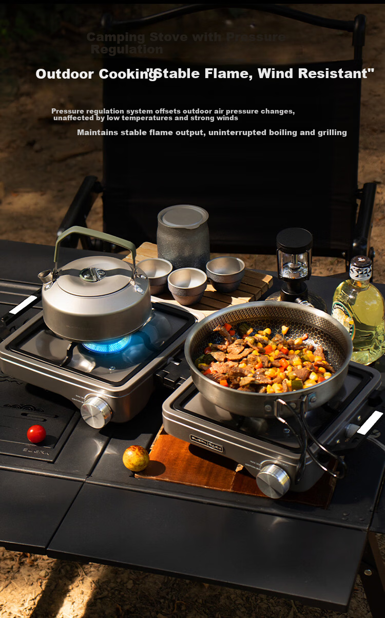 BUERK New Outdoor Portable Folding Split Double-Head Gas Stove Camping BBQ Titanium 8kW 5