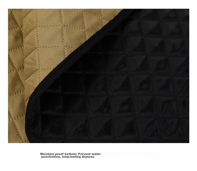 CAMEL Outdoor Mat, Moisture-Proof Mat, Camping Picnic Mat, Tent Picnic Cloth, Sleeping Pad, Floor Mat A9SFSY007 Feiyeh 11