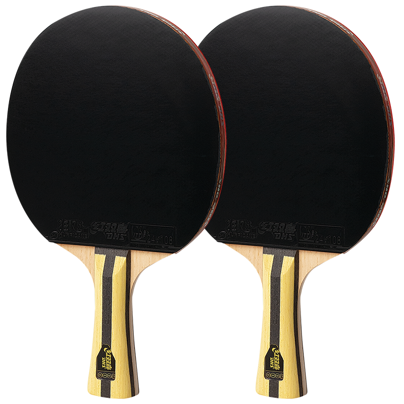 DHS Table Tennis Racket Double-Sided Inverted Rubber Advanced Training Sun Yingsha F4000 Shakehand Paddle Pair