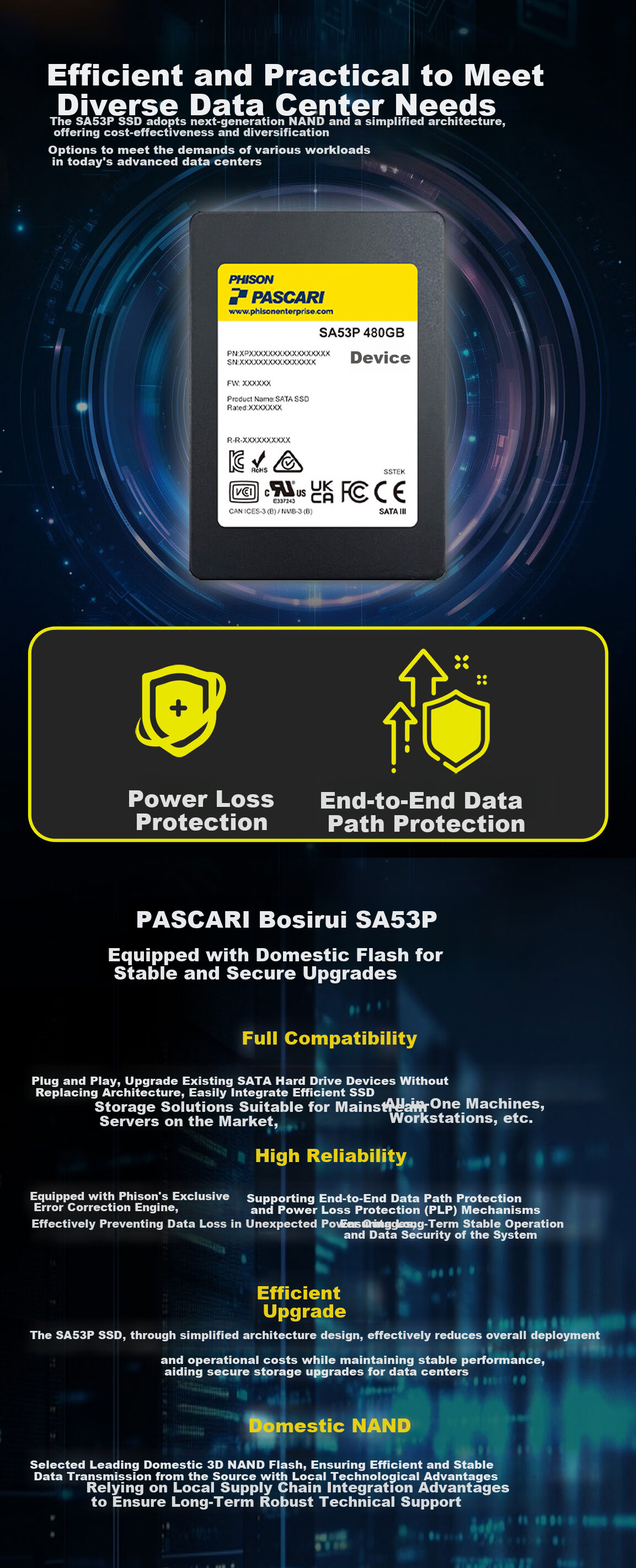 PASCARI BOSRUI Enterprise SSD SA53P 480GB 2