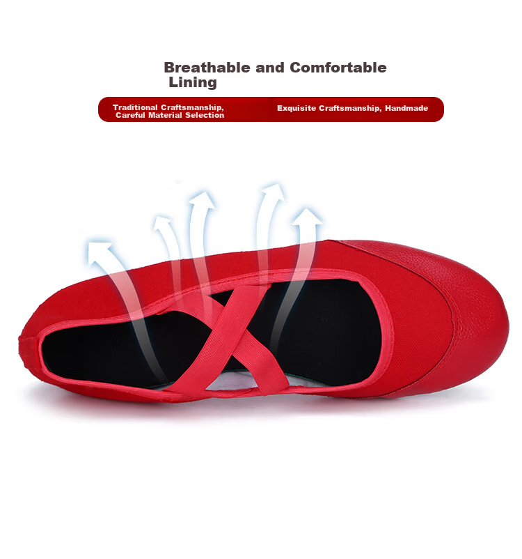 Teslita Red Dance Shoes Women Soft Sole Middle-Aged and Elderly Adult Mid-Heel Square Dance Canvas Shoes Black 3