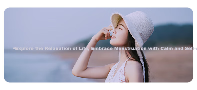 Beishute Soft Night Use Cotton-like Panty Sanitary Pads Sleep Pants L-XL Size 30 Pieces 5 Pads * 6 Packs Leak-proof 4