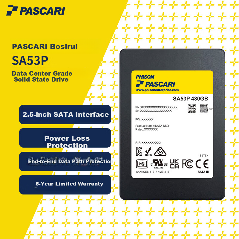 PASCARI BOSRUI Enterprise SSD SA53P 480GB