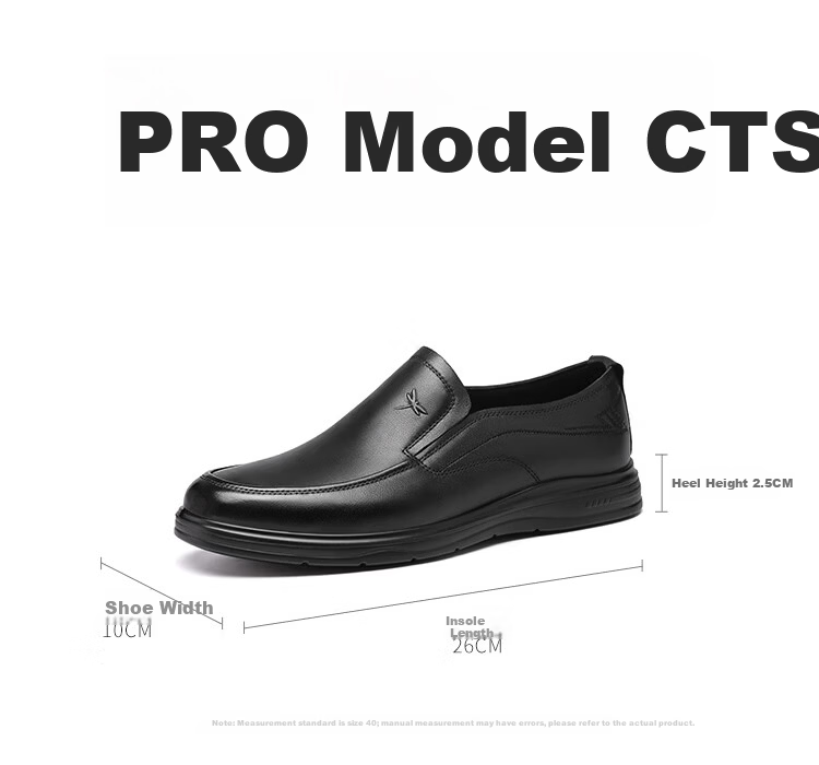Red Dragonfly Men's Business Leather Slip-On Soft Sole Casual Shoes WTA161441 Black Size 42 9