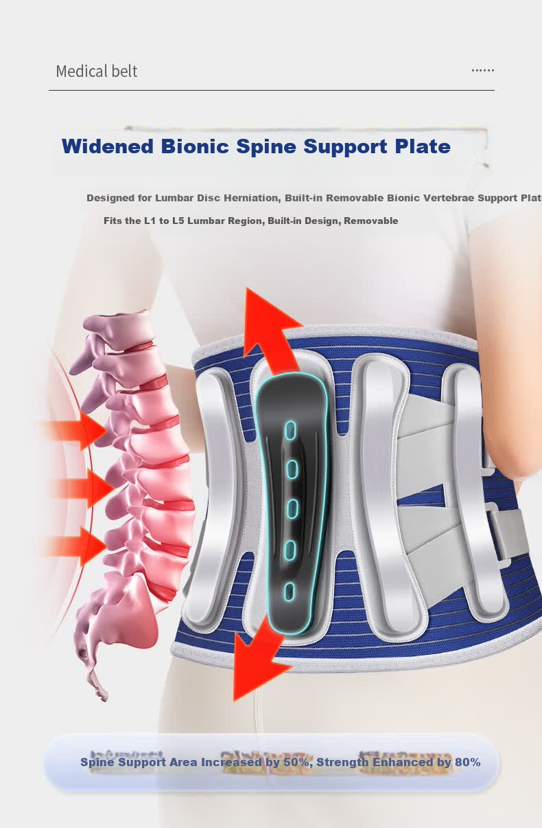Lizi Medical Lumbar Support Belt for Herniated Disc, Lumbar Spine Protector, Lumbar Muscle Strain Relief, Sports Lumbar Brace, Size L 3