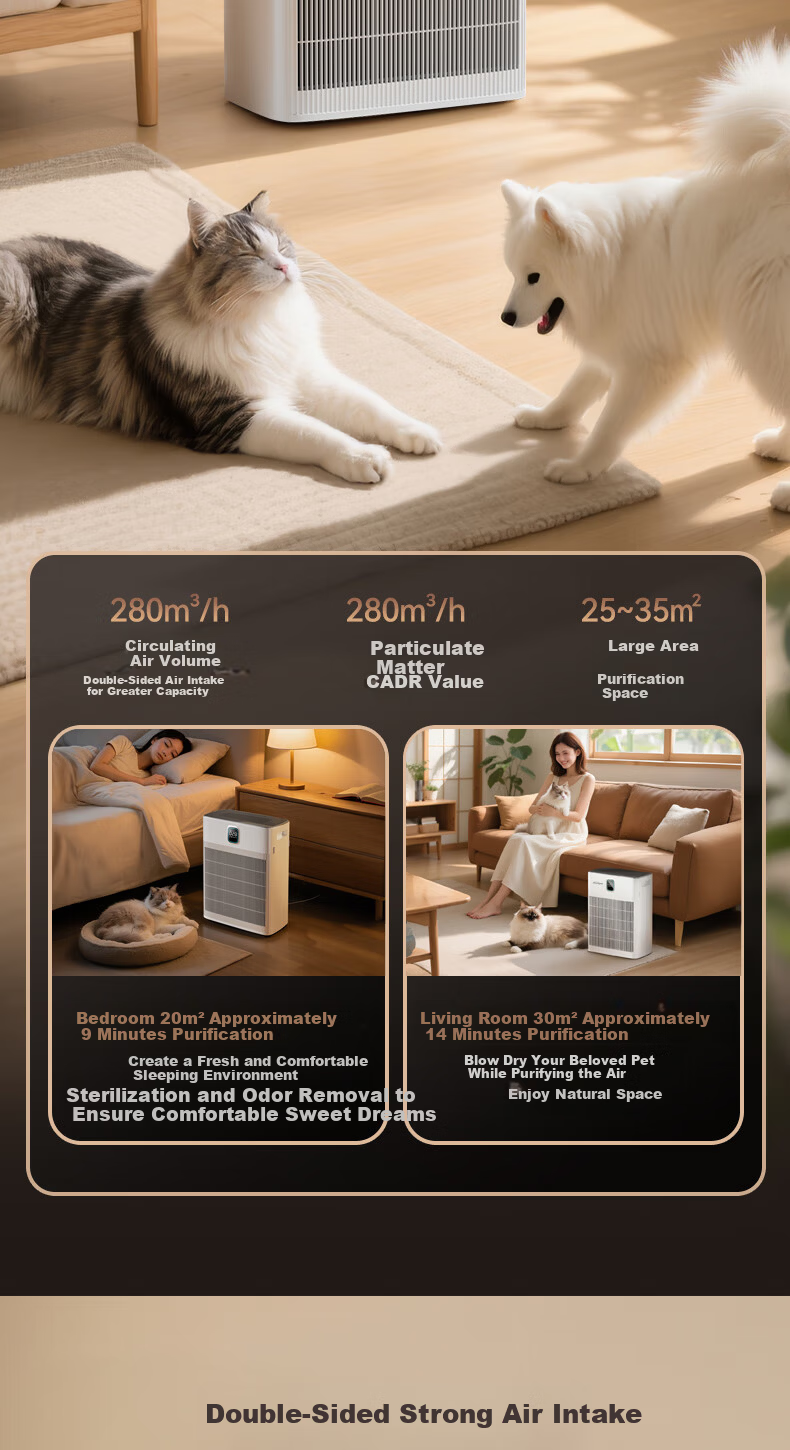 Youyang Pet Hair Vacuum Air Purifier Hair Remover for Cats and Dogs Floating Hair Removal Aromatherapy Deodorization Sterilization P290WH1 11