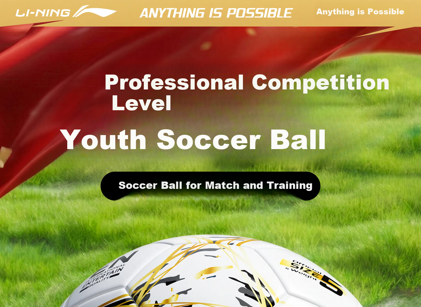 Li-Ning Football Size 5 Adult Standard Ball Youth Training Match World Cup Primary School Kids Size 5 Ball 1