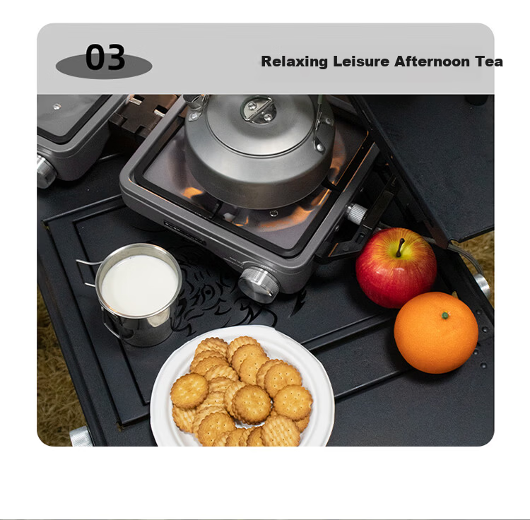 BUERK New Outdoor Portable Folding Split Double-Head Gas Stove Camping BBQ Titanium 8kW 9
