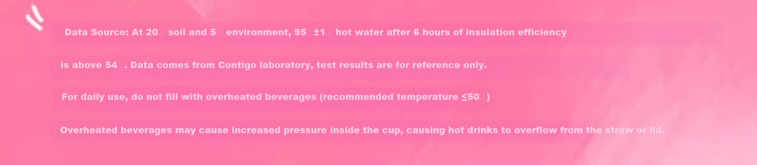 Contigo Locking Stainless Steel Insulated Straw Cup 316L Fruit Baby Concert 410ml HBC-GIZ311VP+ 9