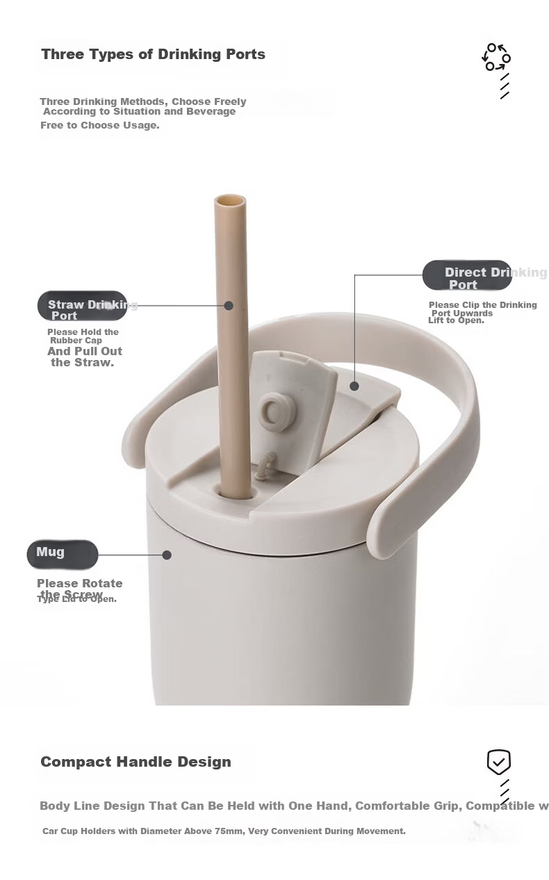 GLASSLOCK Large Capacity Insulated Tumbler with Detachable Handle and Straw, Minimalist Travel Thermos Cup 650ml 6