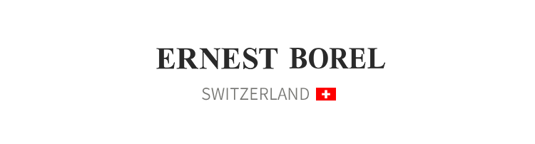 ERNEST BOREL Swiss Men's Watch Sandblasted Hydraulic Textured 3D Stick Markers Minimalist Small Three-Hand Quartz Watch 1