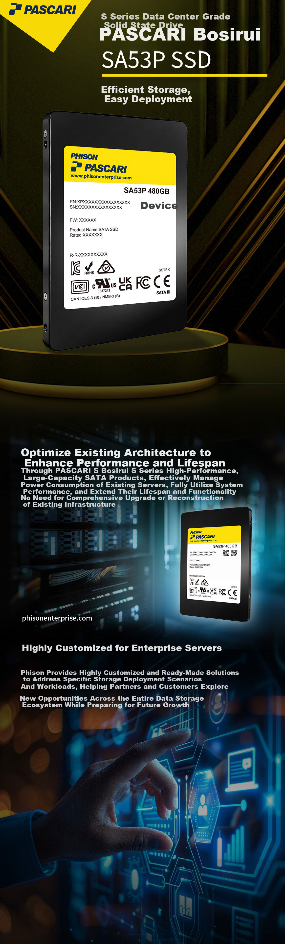 PASCARI BOSRUI Enterprise SSD SA53P 480GB 1