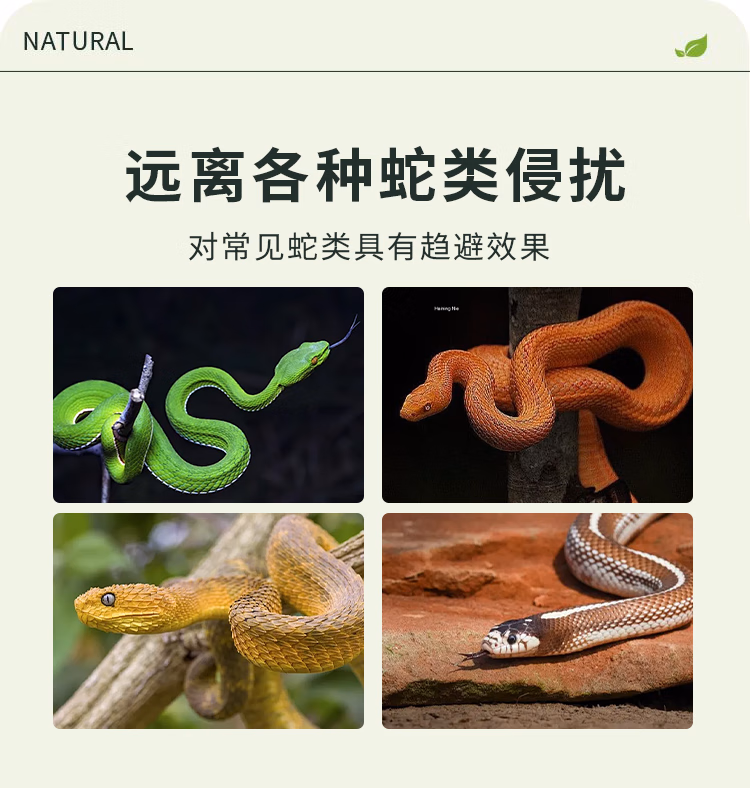 详情图.png