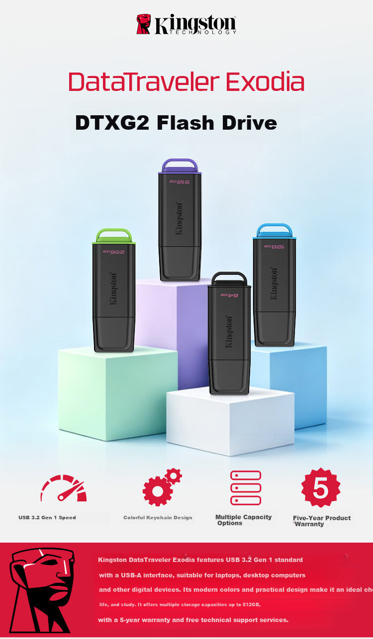 Kingston 256GB USB 3.2 Gen 1 Flash Drive DTXG2 High Capacity Multi-Color Keychain Lightweight Portable USB Drive for Study Office Bidding Computer Car Use 1